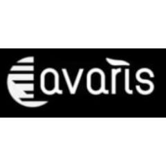 Avaris EBikess Discount Codes