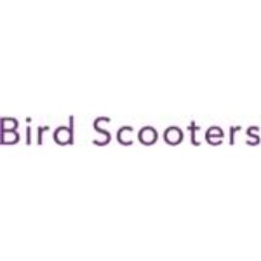 Jenny Bird Discount Codes