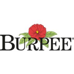 Burpee Discount Codes