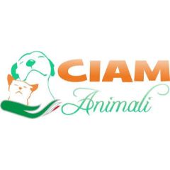 CIAM IT Discount Codes