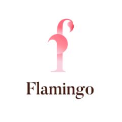 Flamingo Technologies Discount Codes
