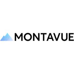 Montavue Discount Codes